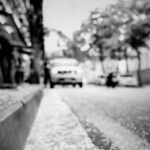 Preview wallpaper road, asphalt, petals, blur, bw