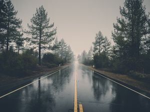 Preview wallpaper road, asphalt, rain, wet, trees, bushes