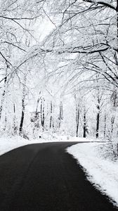 Preview wallpaper road, asphalt, snow, turn, wood, trees