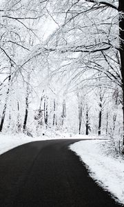 Preview wallpaper road, asphalt, snow, turn, wood, trees