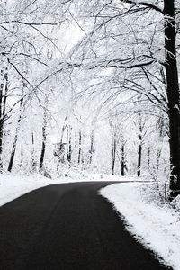 Preview wallpaper road, asphalt, snow, turn, wood, trees