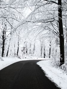 Preview wallpaper road, asphalt, snow, turn, wood, trees