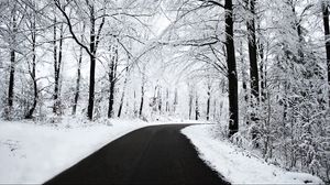 Preview wallpaper road, asphalt, snow, turn, wood, trees