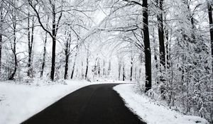 Preview wallpaper road, asphalt, snow, turn, wood, trees