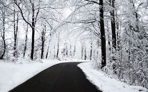 Preview wallpaper road, asphalt, snow, turn, wood, trees