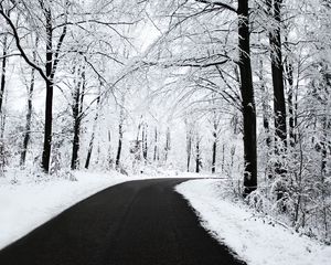 Preview wallpaper road, asphalt, snow, turn, wood, trees