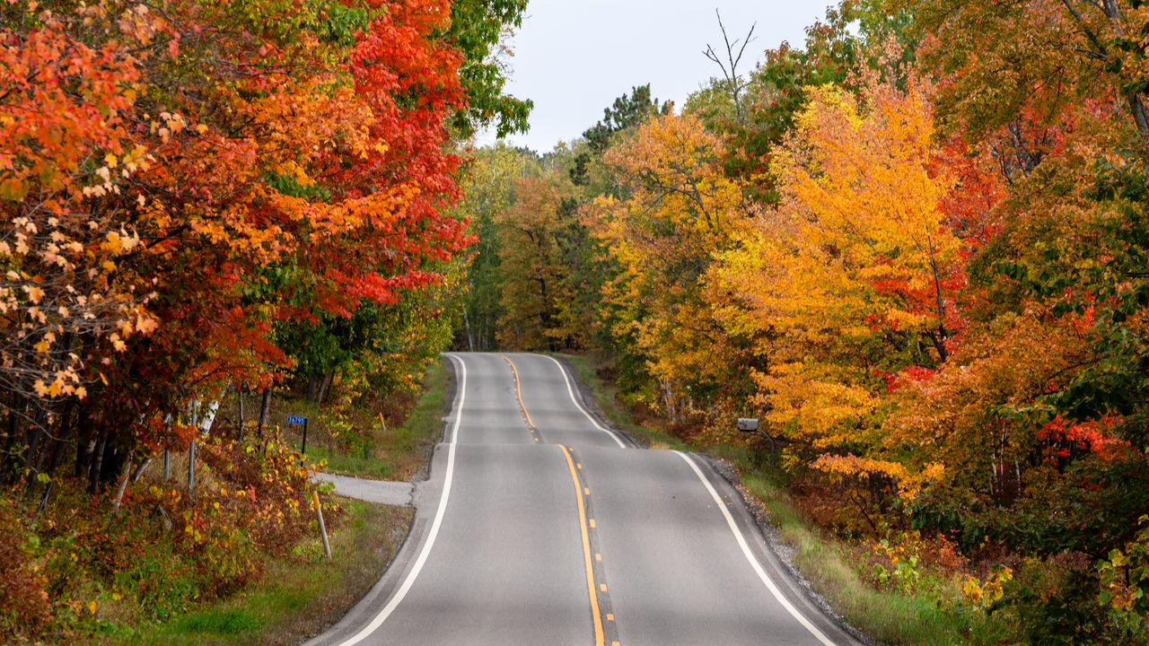 Wallpaper road, asphalt, trees, autumn, forest