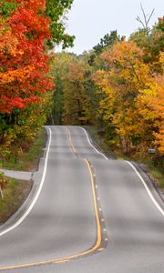 Preview wallpaper road, asphalt, trees, autumn, forest