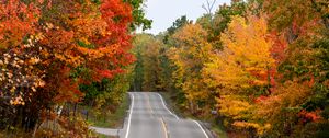 Preview wallpaper road, asphalt, trees, autumn, forest