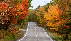 Preview wallpaper road, asphalt, trees, autumn, forest