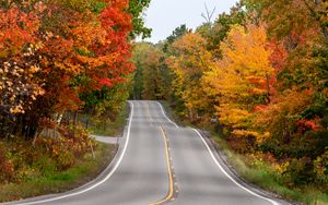 Preview wallpaper road, asphalt, trees, autumn, forest