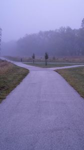 Preview wallpaper road, asphalt, trees, fog, bushes