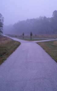 Preview wallpaper road, asphalt, trees, fog, bushes