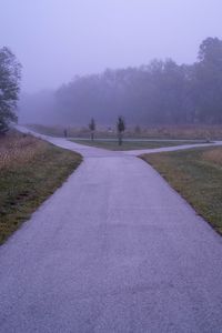 Preview wallpaper road, asphalt, trees, fog, bushes