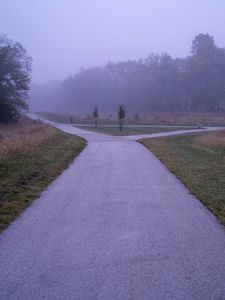 Preview wallpaper road, asphalt, trees, fog, bushes