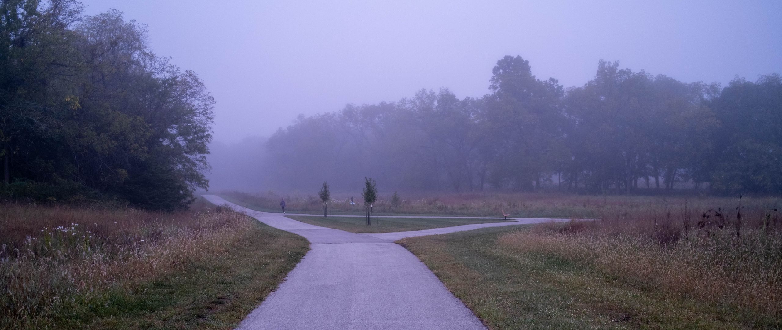 2560x1080 Wallpaper road, asphalt, trees, fog, bushes