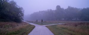 Preview wallpaper road, asphalt, trees, fog, bushes