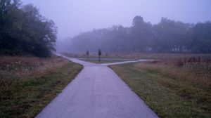 Preview wallpaper road, asphalt, trees, fog, bushes