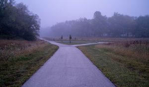 Preview wallpaper road, asphalt, trees, fog, bushes