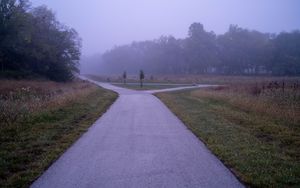 Preview wallpaper road, asphalt, trees, fog, bushes