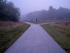 Preview wallpaper road, asphalt, trees, fog, bushes