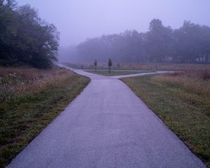 Preview wallpaper road, asphalt, trees, fog, bushes