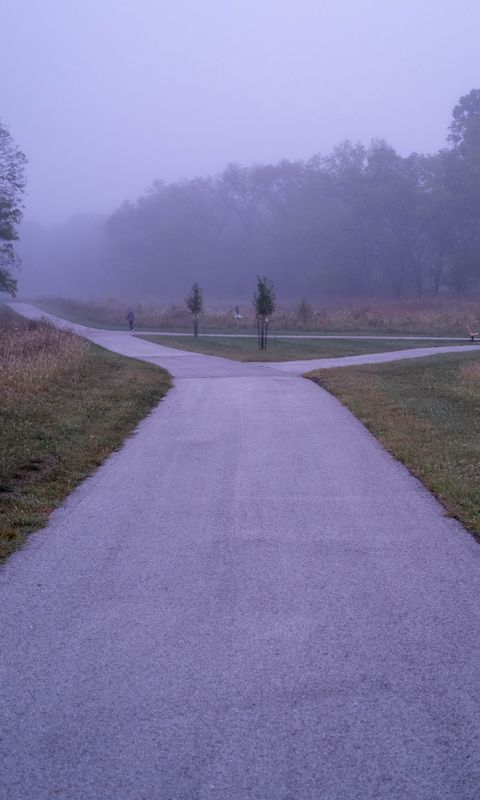 480x800 Wallpaper road, asphalt, trees, fog, bushes