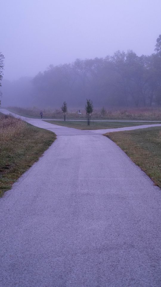 540x960 Wallpaper road, asphalt, trees, fog, bushes