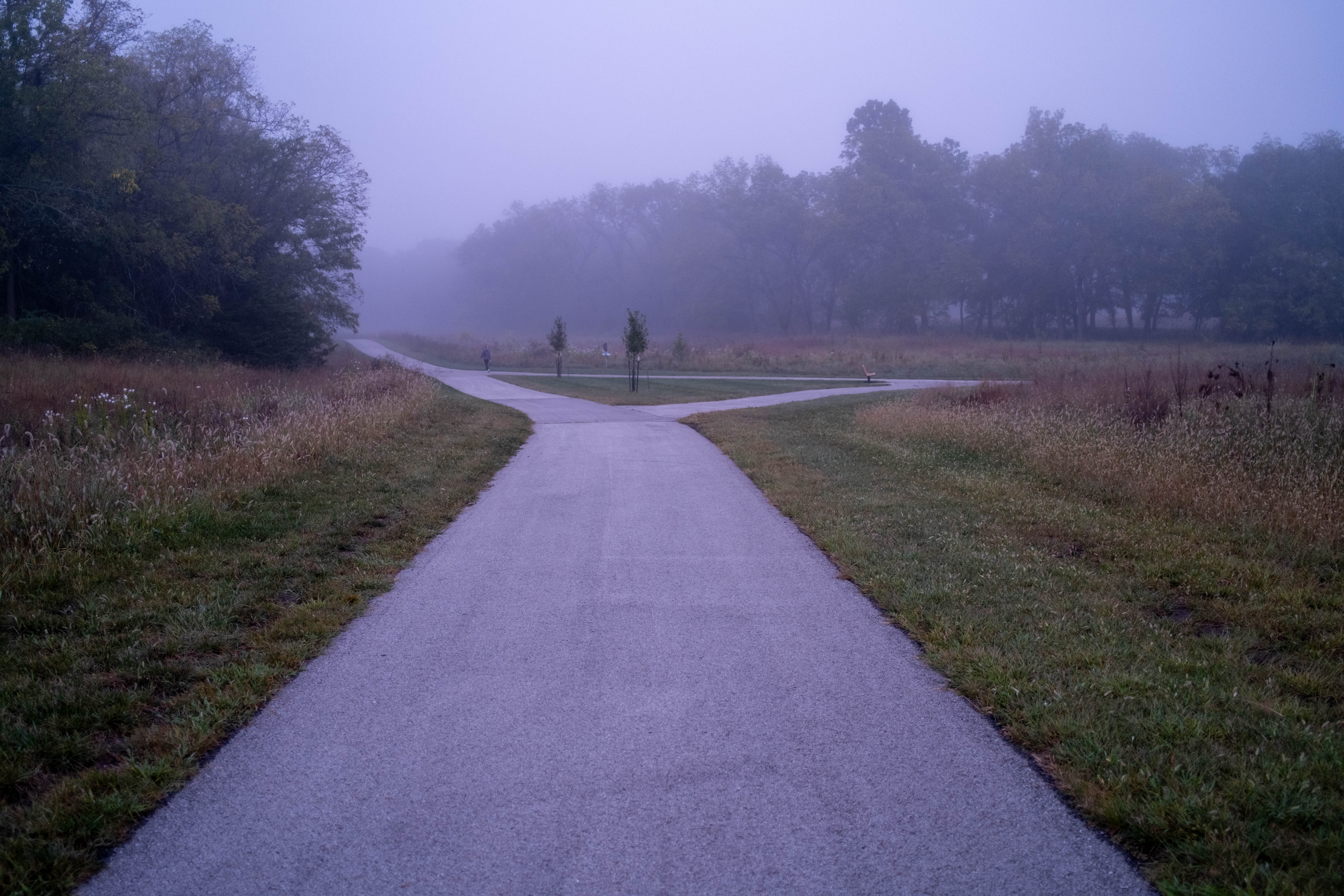 6240x4160 Wallpaper road, asphalt, trees, fog, bushes