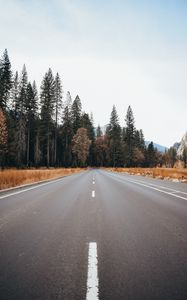 Preview wallpaper road, asphalt, trees, forest, nature