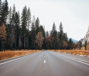 Preview wallpaper road, asphalt, trees, forest, nature