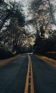 Preview wallpaper road, asphalt, trees, autumn, nature