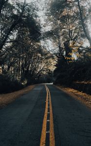 Preview wallpaper road, asphalt, trees, autumn, nature