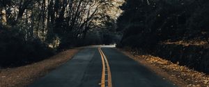 Preview wallpaper road, asphalt, trees, autumn, nature