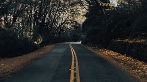 Preview wallpaper road, asphalt, trees, autumn, nature