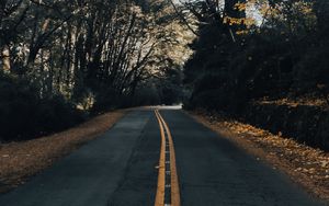 Preview wallpaper road, asphalt, trees, autumn, nature