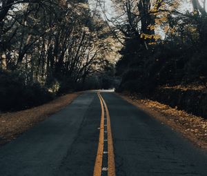 Preview wallpaper road, asphalt, trees, autumn, nature