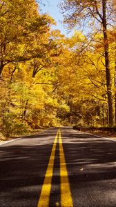Preview wallpaper road, asphalt, trees, forest, autumn