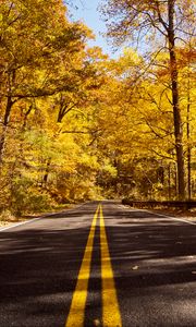 Preview wallpaper road, asphalt, trees, forest, autumn