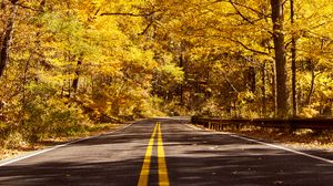 Preview wallpaper road, asphalt, trees, forest, autumn