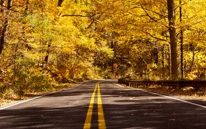 Preview wallpaper road, asphalt, trees, forest, autumn