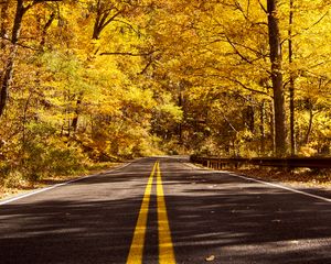 Preview wallpaper road, asphalt, trees, forest, autumn