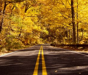 Preview wallpaper road, asphalt, trees, forest, autumn