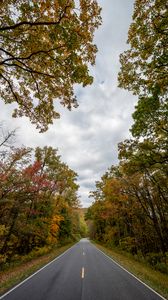 Preview wallpaper road, asphalt, trees, distance