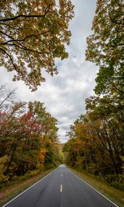 Preview wallpaper road, asphalt, trees, distance