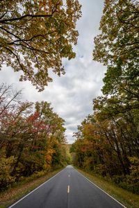 Preview wallpaper road, asphalt, trees, distance