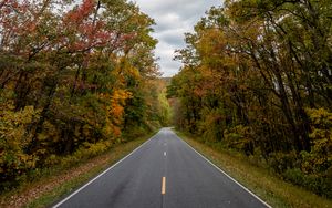 Preview wallpaper road, asphalt, trees, distance