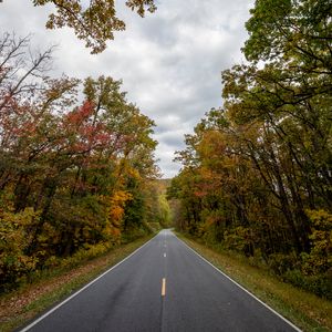 Preview wallpaper road, asphalt, trees, distance