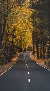 Preview wallpaper road, asphalt, trees, autumn