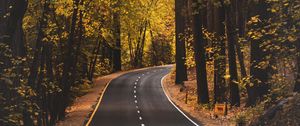 Preview wallpaper road, asphalt, trees, autumn